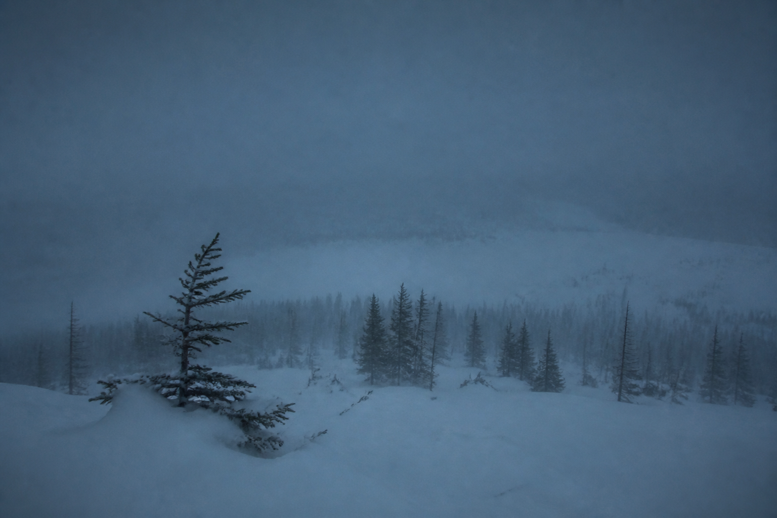 Dyatlov Pass incident landscape showing the remote snowy tree line below Kholat Syakhl