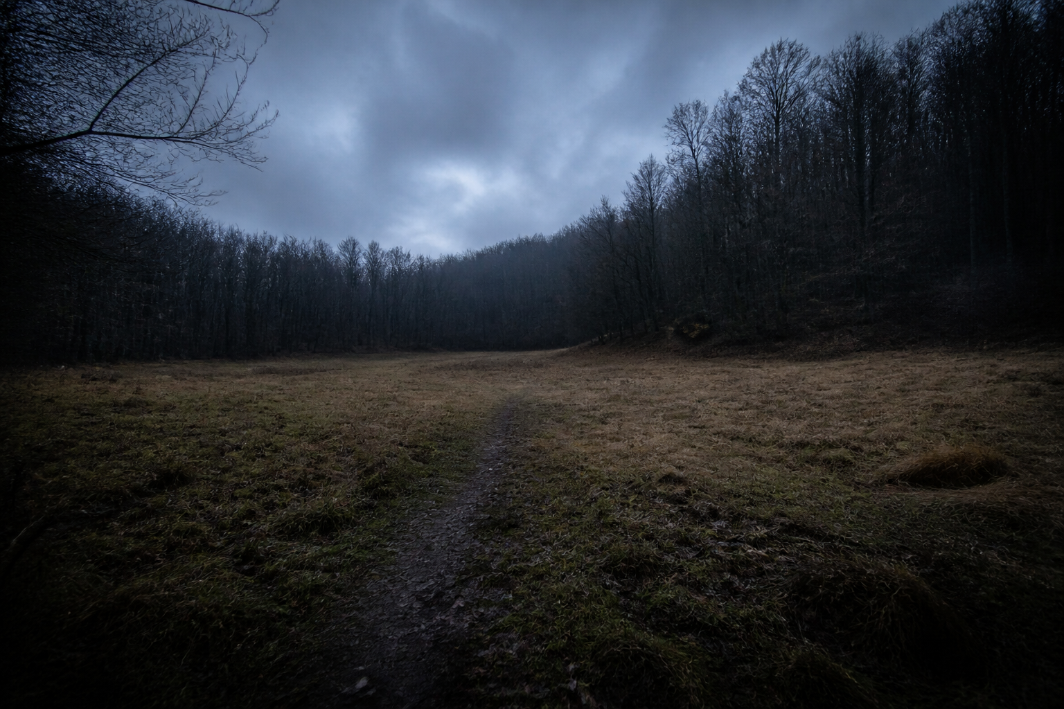 Hoia Baciu Forest inspired view of the Round Clearing at dusk