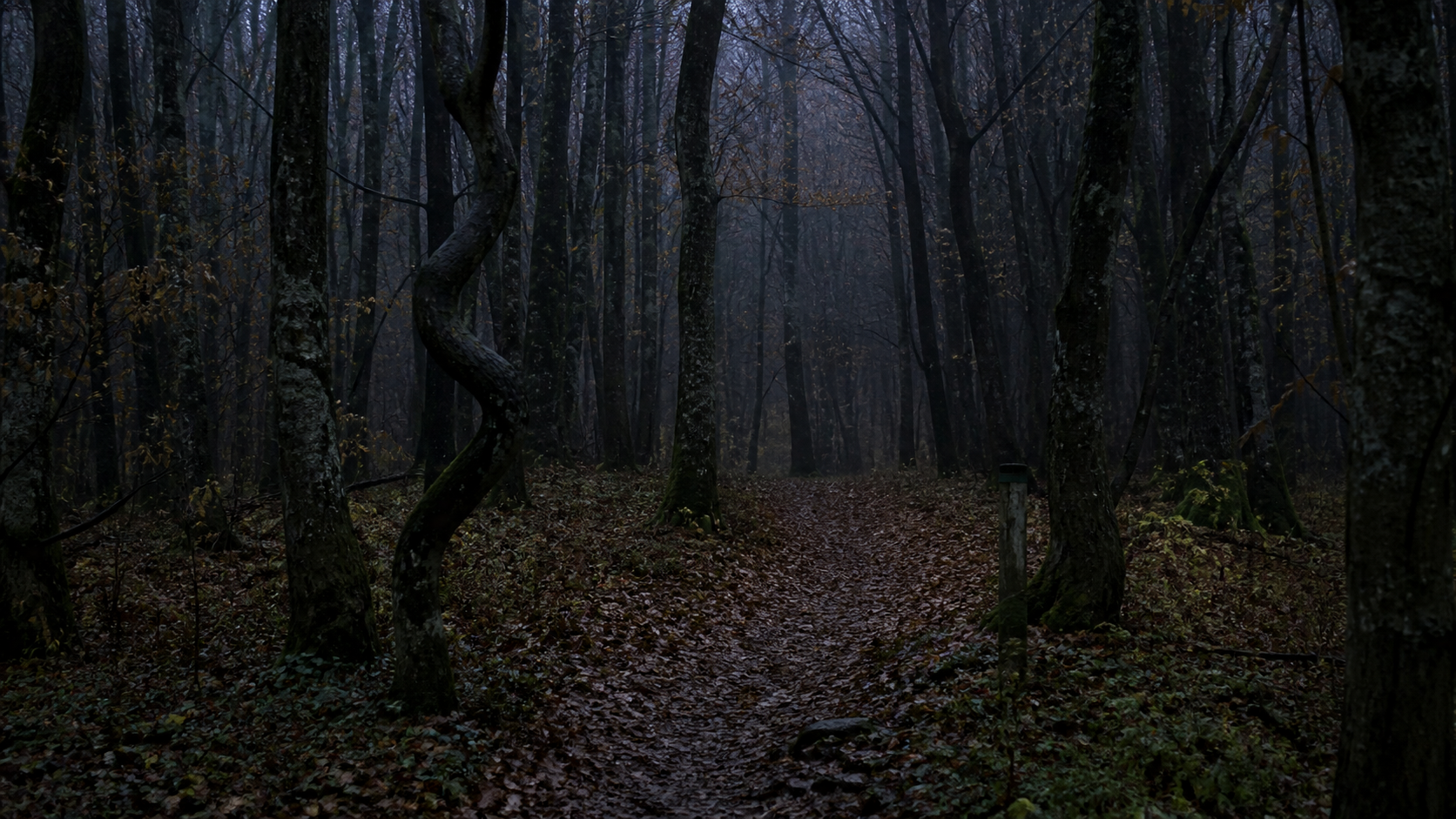 Hoia Baciu Forest path with twisted trees at dark twilight