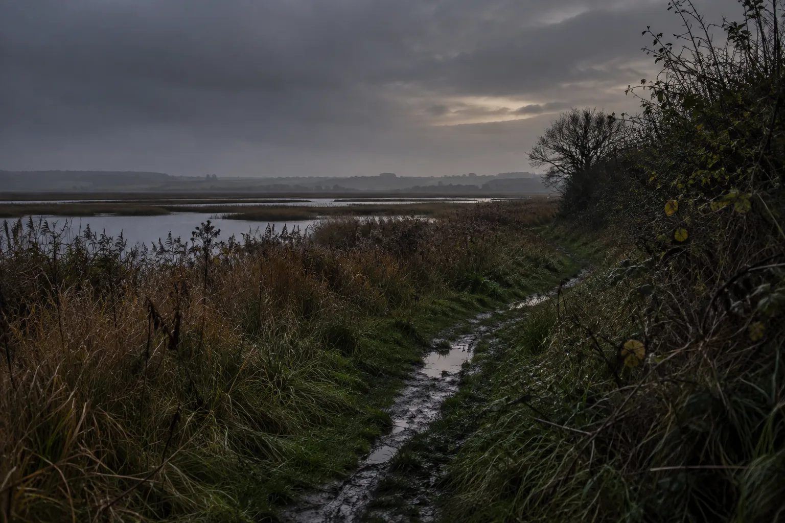 Black Shuck folklore inspired lonely marsh path at autumn dusk