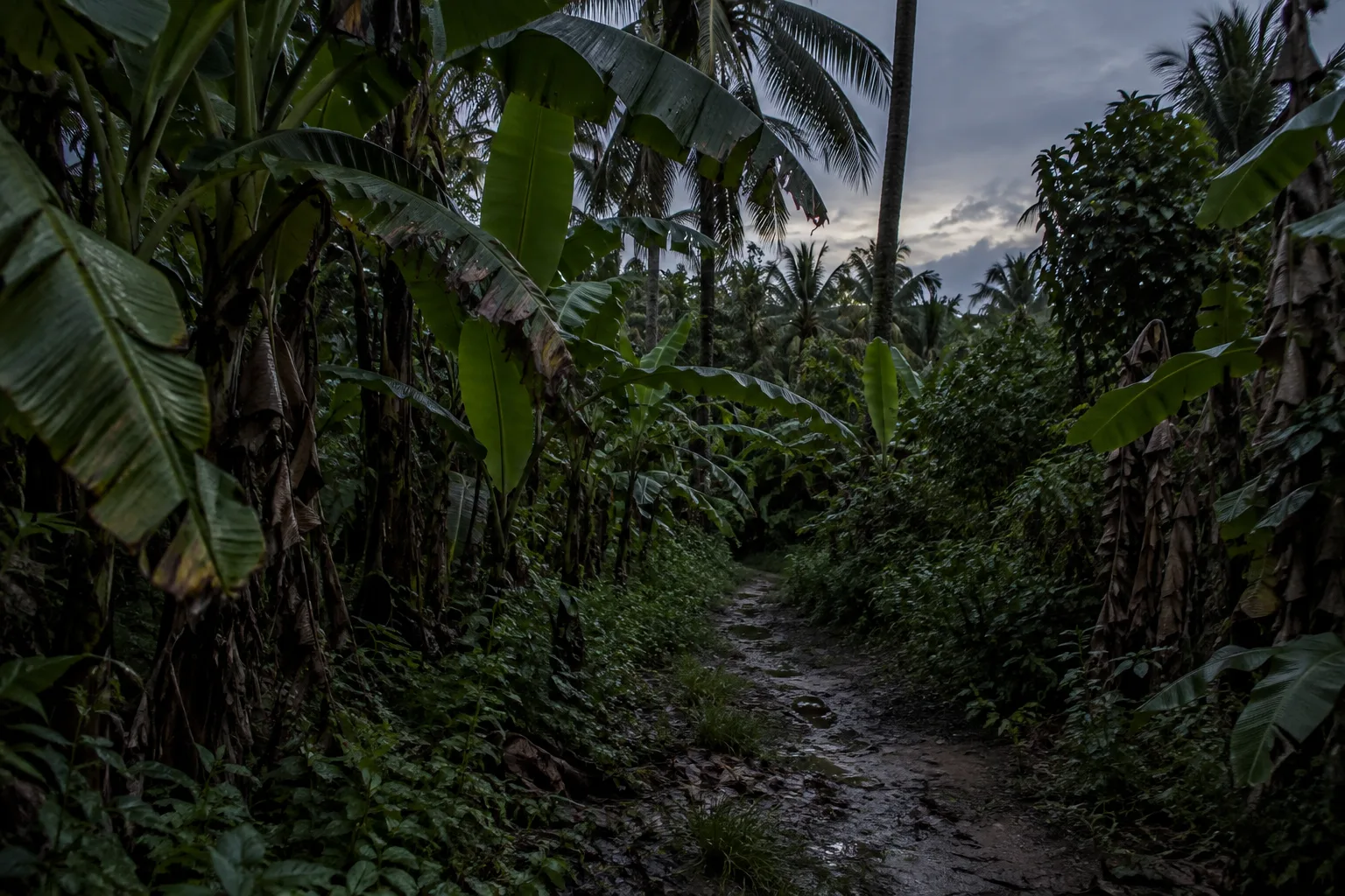 Pontianak folklore inspired banana grove and dark village path