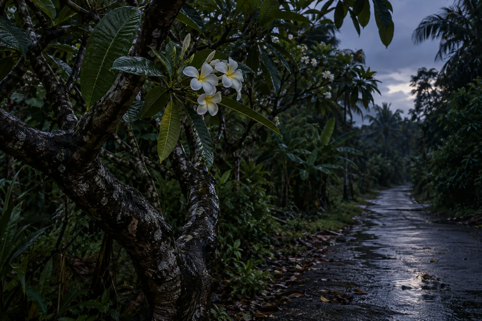 Pontianak folklore inspired frangipani tree beside a dark tropical lane